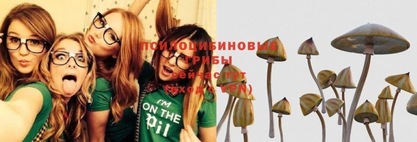 а пвп мука Пересвет