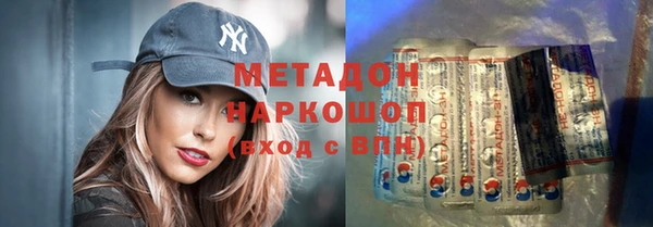 прущие грибы Гусиноозёрск
