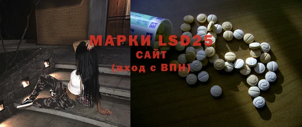 прущие грибы Гусиноозёрск