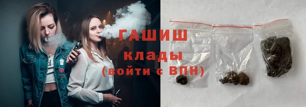 прущие грибы Гусиноозёрск