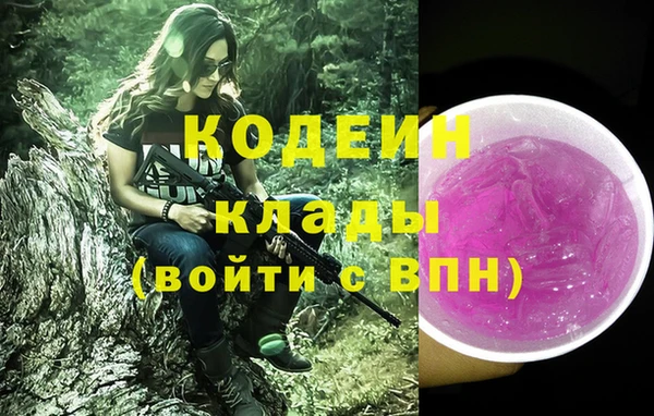 кокс Гусев