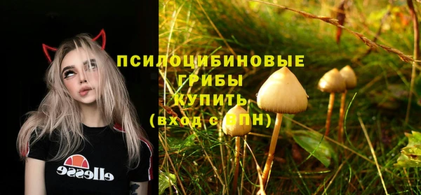 таблы Осташков