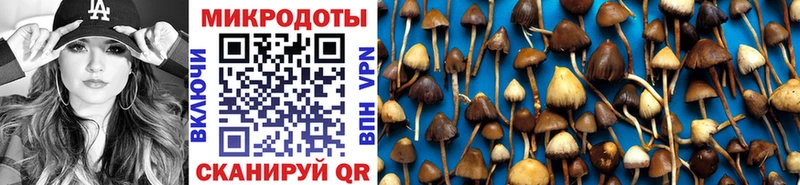 Псилоцибиновые грибы Psilocybine cubensis Новохопёрск