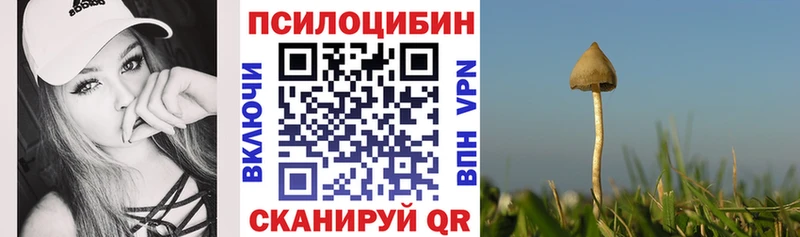 даркнет сайт Новохопёрск Псилоцибиновые грибы ЛСД